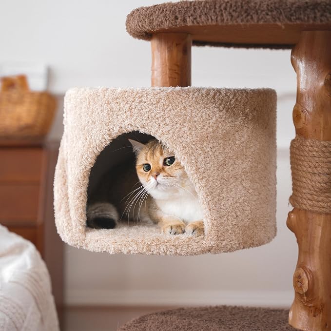Modern Cat Tree for Indoor Large Cats & Multi-Cat Households, 68'' Solid Wood Cat Tower with 3 Condos, Heavy Duty Cat Tower with Scratching Post, Multi-Level Cat House, Perch, Hammock, Hideaway, Brown