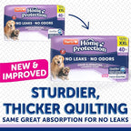Hartz Home Protection Super Absorbent Odor Eliminating Lavender Scented No Leak Dog Pads, XXL 40 count