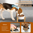Elevated Ceramic Dog Bowl, 3.6 Cups Dog Food and Water Bowl Set with Stand | 6.1'' Double Dog Feeding Dishes, Non-Slip Raised Dog Feeder for Small and Medium Breeds, 28.74 OZ / 850 ML, White