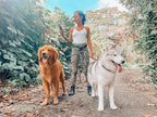 Tuff Pupper Heavy Duty Hands Free Bungee Dog Leash | Two Large Dogs Up to 250 lbs | Comfortable Shock Absorbing Bungee | Reflective Dual Padded Handles | Lumbar Waist Belt 28-50" | 360° Swivel Clips