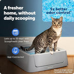 PetSafe ScoopFree Complete Smart Self-Cleaning Cat Litter Box - WiFi & App Enabled - Hands-Free Cleanup with Disposable Crystal Trays - Less Tracking, Superior Odor Control - Includes Disposable Tray | 2.4 GHz WiFi & App Enabled, Hands-Free Automatic C...