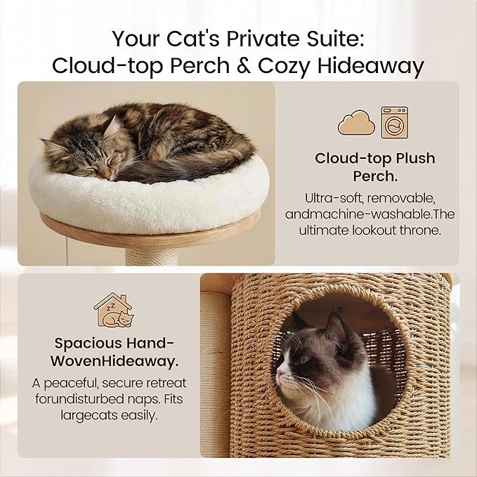 Solid Wood Cat Tree for Indoor Cats, Modern Cat Tower with Hand-Woven Condo & Sisal Scratching Post, Sturdy Wooden Cat Tree with Plush Perch, Aesthetic Cat Furniture for Small to Medium Cats