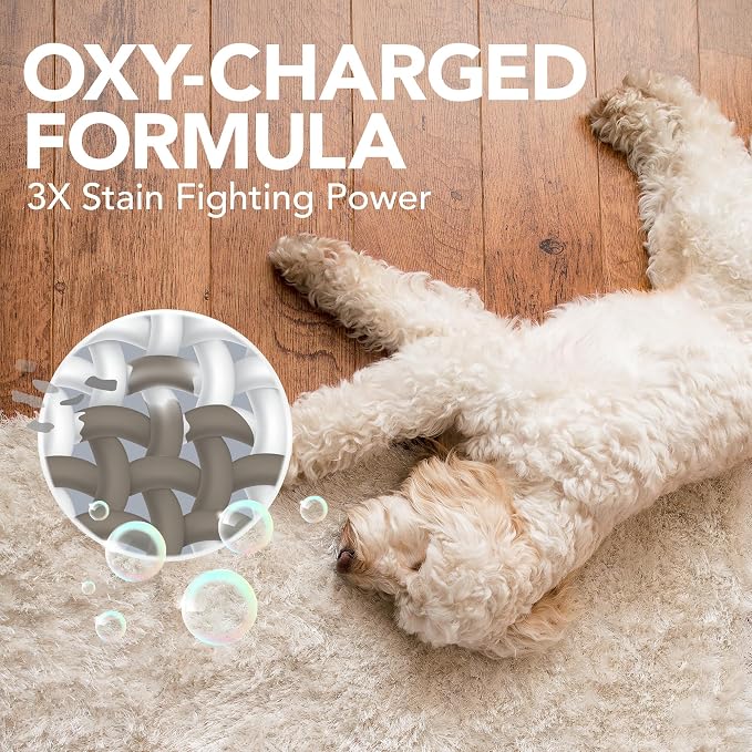 Simple Solution Oxy Pet Stain Remover, Carpet Cleaner, Pet Stains, Gallon | Upholstery Cleaner, Pet Odor Eliminator, Carpet Spray, Dog Urine Cleaner, Spot Cleaner, Waste & Vomit Odor, Cat Stains