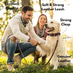 Leather Dog Leash 6 ft x 3/4 inch - Soft, Strong, Heavy Duty for Large & Medium Breeds - Dog Lead for Walking (Brown - Gold Colored Clasp, L - 6 ft x 3/4 inch)