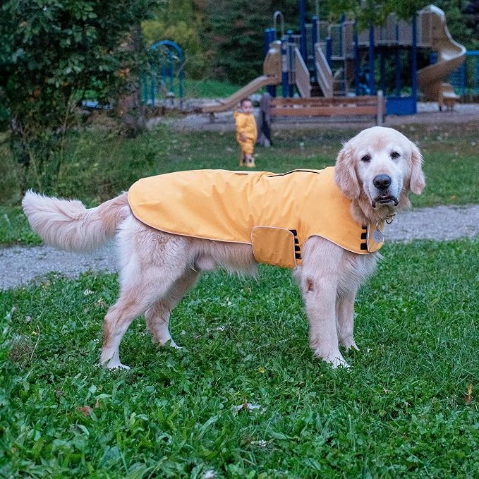 JAN & JUL Dog Rain Jacket (Yellow, Size: L)