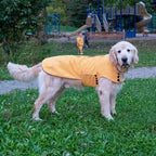 JAN & JUL Dog Rain Jacket (Yellow, Size: L)