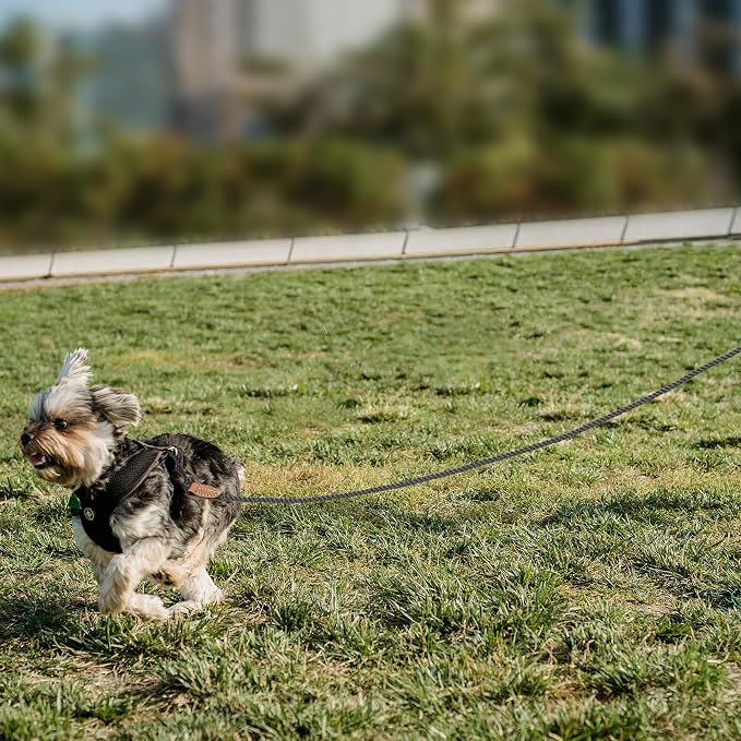 Mile High Life Dog Leash Braided Cotton Rope with Leather-Reinforced Ends | Rust-proof 360° swivel clasp, Heavy-duty for small/medium breeds. Great for weddings, daily walks (5 FT, 1/3", Dark Gray)