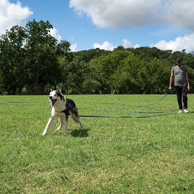 Hi Kiss Dog/Puppy Obedience Recall Training Agility Lead/Leash - 15ft 20ft 30ft 50ft 100ft - Great for Play, Camping, or Backyard - Black