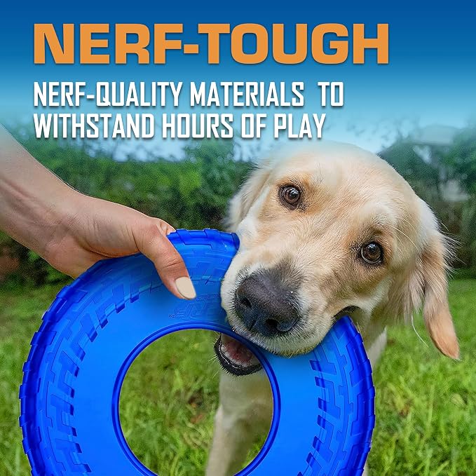 Nerf Dog Tire Flyer Dog Toy Gift Set, 10 Inch Flying Disc Dog Fetch Toys, Rubber Dog Toy for Medium Dogs and Large Dogs, Red, Translucent Green and Translucent Blue, 3 Count