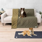 PetAmi Waterproof Couch Cover for Dog Nonslip Bed Sofa Blanket, 30x70 Green | Leakproof Furniture Protector for Pet Cat, Machine Washable Pee Proof Mat for Chair Car Seat, Durable & Anti Slip Backing
