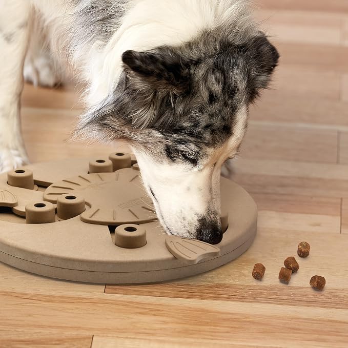 Outward Hound by Nina Ottosson Dog Worker Treat Puzzle Enrichment Toy, Level 3 Advanced, Tan