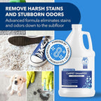 Unique Carpet Shampoo, Pet Stain & Odor Remover, Enzyme Carpet Cleaner for Dog & Cat Urine, Deep Cleaning Solution, Value Size, 128 oz