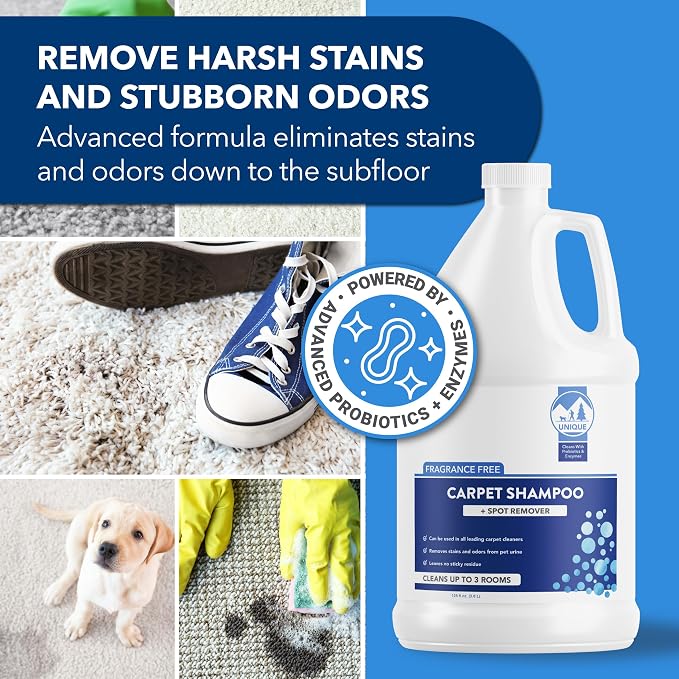 Unique Carpet Shampoo, Pet Stain & Odor Remover, Enzyme Carpet Cleaner for Dog & Cat Urine, Deep Cleaning Solution, Value Size, 128 oz