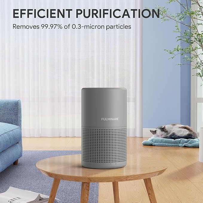FULMINARE Air Purifiers for Bedroom H13 True HEPA Air Filter (Gray) | Remove Pet Hair, Smoke, Odors，Quiet Air Cleaner With Night Light, Portable Small Air Purifier for Home, Office, Living Room