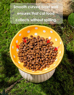 Mushroom Cat Bowl, Raised Ceramic Cat Food Dish for Whisker Fatigue, Forest Style Pet Water Bowl, Elevated Tilted Neck Protection Feeder for Indoor Cats & Small Dogs (Red & Black)