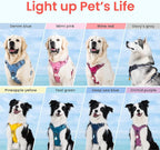 Pawaii No Pull Dog Harness with Pet ID Tag, Reflective Vest | Built for safer walks with a QR Pet ID Tag, front no pull clip, reflective trim, control handle and breathable mesh lining