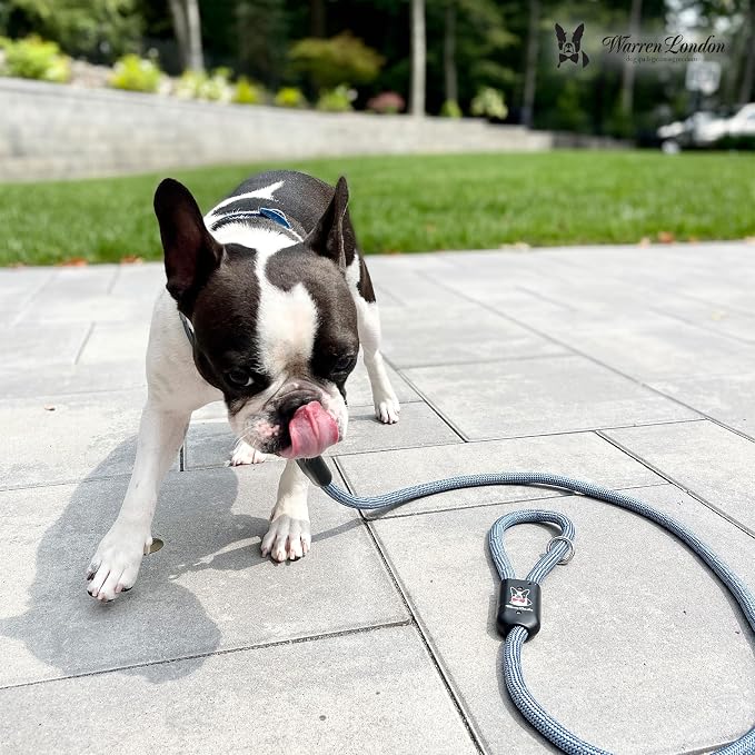 Warren London Climbing Rope Dog Leash – 5 ft Night-Safe Reflective Rope w/Padded Handle & Swivel Clip | Blue & White Nautical Strength for All Breeds