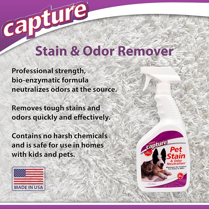 Capture Pet Stain & Odor Spray - Enzyme Pet Odor Eliminator - 32oz (2 Pack) | Carpet Stain Remover for Cats & Dog Pee Smell, Cat Urine Destroyer, Carpet Cleaner Spray