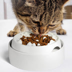 CatGuru Whisker-Friendly Slow Feeder Cat Bowl for Healthy Digestion | Perfect for kittens, adult, and senior cats. Encourages calm, healthy eating habits at every age.