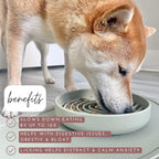 Slow Feeder Dog Bowls - Medium Size Silicone Slow Eating Dog Bowl for Puppies & Dogs with Suction Cup -Dishwasher-Safe, Lick Mat Design, Reduces Gulping,for All Breeds,7.5”x1.5”- Tan