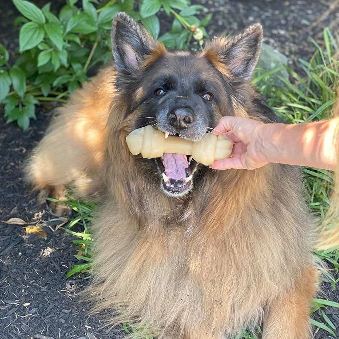 Nylabone Power Chew Mega Knot Bone Dog Chew Toy, Chicken Flavor, X-Large | Durable dog toys for aggressive chewers, long lasting, discourages destructive chewing, for dogs 50+ lbs, flavor throughout