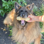 Nylabone Power Chew Mega Knot Bone Dog Chew Toy, Chicken Flavor, X-Large | Durable dog toys for aggressive chewers, long lasting, discourages destructive chewing, for dogs 50+ lbs, flavor throughout