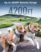 Shock Collar for 2 Dogs - 4200FT Dog Training Collar with Remote IPX7 Waterproof Electric Collar with 4 Training Modes, Security Lock E-Collar for Large Medium Small Breeds(Teal Blue)