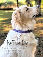 Lucky Love Dog, Matching Dog Collar & Leash Set for Female Dogs, Soft, Adjustable, Safe for Training and Walking, Black & Purple Floral Print, Primrose Combo, Small