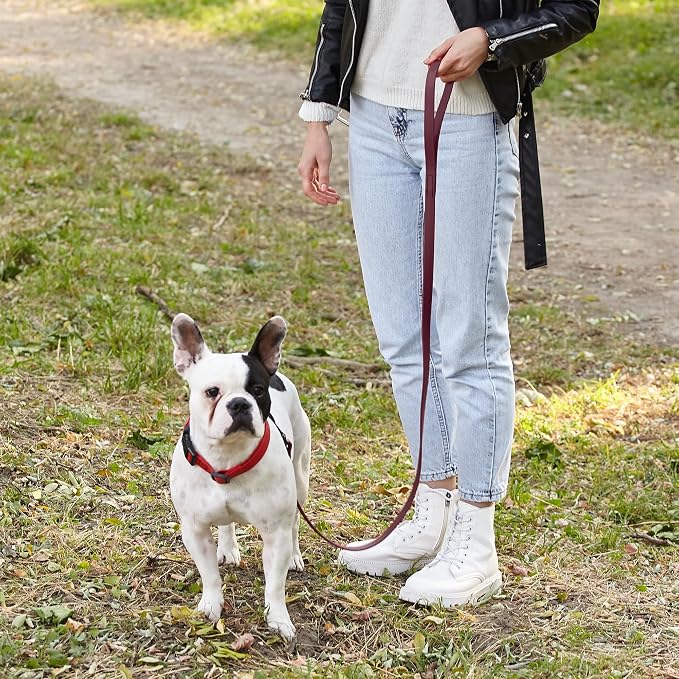 Dogline Biothane Waterproof Dog Leash Strong Coated Nylon Webbing with Black Hardware Odor-Proof Easy to Clean High Performance for Small or Large Dogs Made in USA 4 or 6 ft Lead, Merlot Burgundy