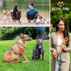 ROYAL-PAW Dog Tie Out Stake - for Large Dogs up to 210 lbs - Heavy Duty Dog Stake for Yard, Beach & Camping Outside - Best in Ground Anchor for a Dog Cable, Leash, Lead Tether (1, Royal Orange)