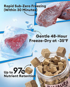 Freeze Dried Duck Liver Treats for Dogs & Cats,3.53oz | Single Ingredient, High-Protein, Grain-Free, All-Natural Pet Snack, Resealable Tub, Ideal for Training or Meal Topper