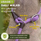Fida Durable Slip Lead Dog Leash Bulk Pack of 5, Heavy Duty 1/2" x 6 FT Comfortable Strong Rope Slip Lead for Large, Medium Dogs No Pull Pet Training Leash with Highly Reflective, Purple