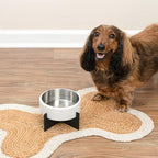 DBL3000E Intersecta Small/Medium Concrete and Stainless Steel Bowl 16oz (2 Cups) with Metal Stand Pet Feeder, White/Black