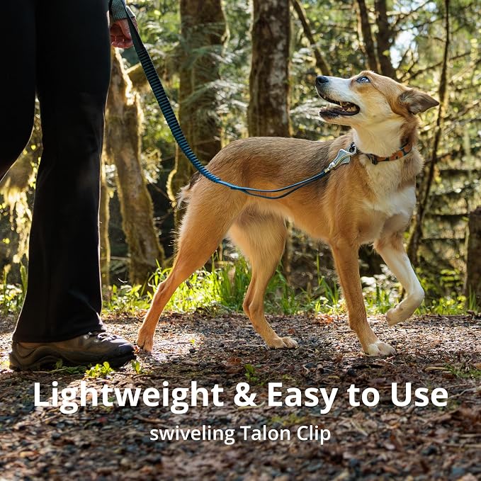 Ruffwear, Roamer Bungee Dog Leash for Running, Biking or Hiking, Can be Used Hand-Held or Hands-Free, Yellow Snow, 7.3'-11'