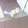 Carpet Protector for Pets Cat Carpet Protector for Doorway, Anti Scratch Under Door Cat Scratch Protector Mat, Easy to Cut Plastic Stopper (Clear, 5.2FT-1pack)