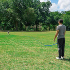 Hi Kiss Dog/Puppy Obedience Recall Training Agility Lead - 15ft 20ft 30ft 50ft 100ft Training Leash - Great for Training, Play, Camping, or Backyard - Pink 30ft