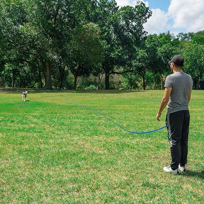 Hi Kiss Dog/Puppy Obedience Recall Training Agility Lead - 15ft 20ft 30ft 50ft 100ft Training Leash - Great for Training, Play, Camping, or Backyard (15 Feet, Green)