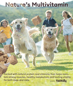 Freeze Dried Beef Liver Treats for Dogs & Cats,3.53oz | Single Ingredient, High-Protein, Grain-Free Natural Pet Snack, Resealable Tub, Ideal for Training or Meal Topper