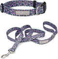 Lucky Love Dog - Easy Click Buckle Dog Collar with Leash Set Combo, Durable & Comfortable for Male & Female Dogs, Pet Collar for Medium Dogs, Secure Fit - Primrose Combo, Medium