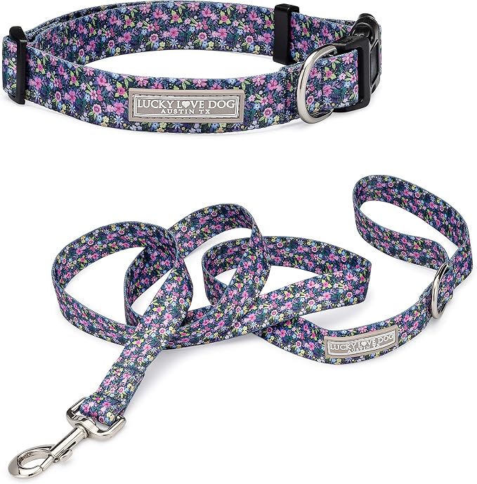 Lucky Love Dog - Easy Click Buckle Dog Collar with Leash Set Combo, Durable & Comfortable for Male & Female Dogs, Pet Collar for Medium Dogs, Secure Fit - Primrose Combo, Medium