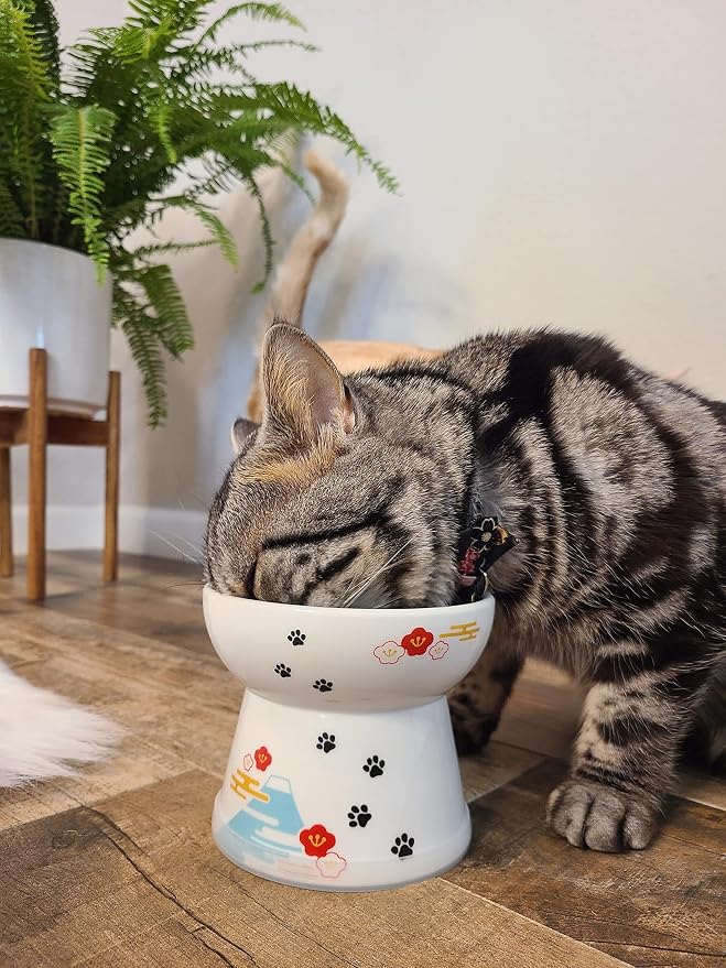 Necoichi Ceramic Raised Cat Food Bowl, Whisker-Friendly (Fuji, Large Flat)