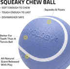 Playology Dog Toys | Squeaky Chew Ball for Dogs, Value 3-Pack | Blueberry Scented Small Dog Balls | Bouncy Floating Chew Toys for Fetch