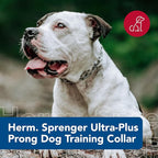 Herm SPRENGER Ultra-Plus Prong Dog Training Collar, 3.0 mm x 18" Neck Size, 3.0 mm x 22" Chain Length, Steel Chrome Plated Dog Prong Collar, Pinch Collar for Dogs, Dog Correction Collar