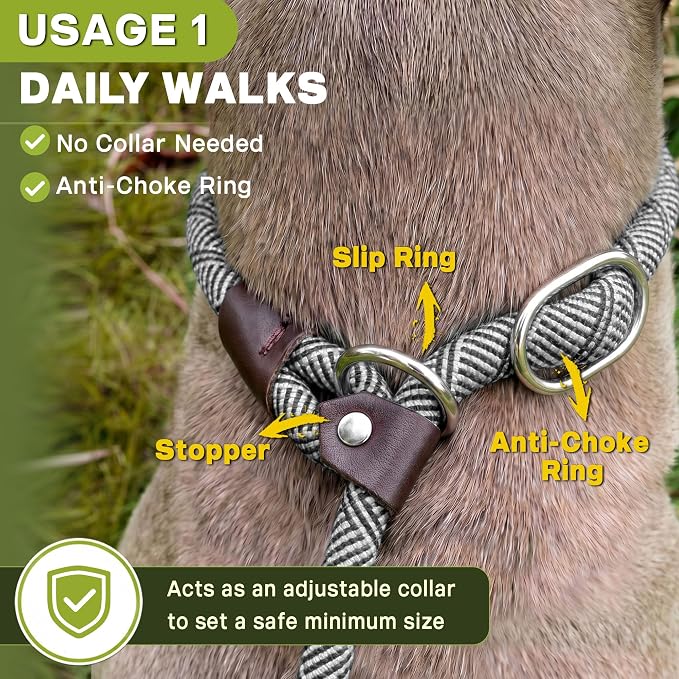 Fida Durable Slip Lead Dog Leash Bulk Pack of 5, Heavy Duty 1/2" x 6 FT Comfortable Strong Rope Slip Lead for Large, Medium & Small Dogs No Pulling Pet Training Leash with Highly Reflective (Grey)