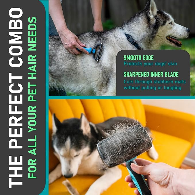 Maxpower Planet Dog Rake and Brush Set for Shedding, Undercoat & Mats | Deshedding Tool, Detangling, Self-Cleaning Design, Medium & Long Hair, For Cats Too, Gentle Grooming