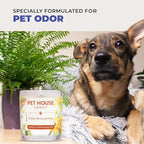 Pet House Candles, Natural Soy-Based, Clean Burning Pet Friendly Candles, 60 Hour Burn Time - Wild Blueberries, 9 oz, 2 Pack