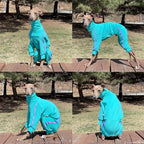 D Doggy Star Italian Greyhound Clothes Stretchy Towel Sports Onesie Outfit Whippet for Dog Coat (M,TWL Turquoise)