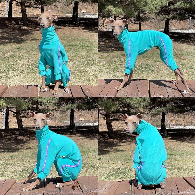 D Doggy Star Italian Greyhound Clothes Stretchy Towel Sports Onesie Outfit Whippet for Dog Coat (L,TWL Turquoise)