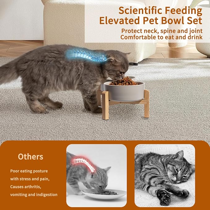 Elevated Ceramic Dog Bowl, 2 Cups Dog Food and Water Bowl Set with Stand | 5.1'' Double Dog Feeding Dishes, Non-Slip Raised Dog Feeder for Cats and Puppies, 16.23 OZ / 480 ML, White
