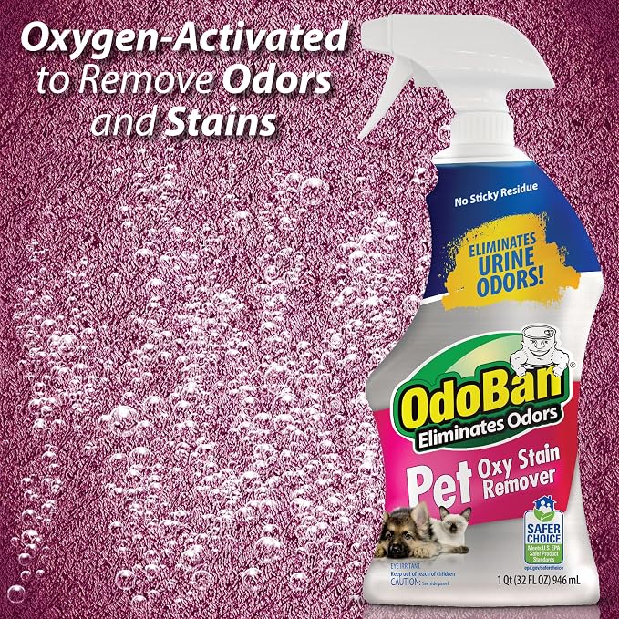 OdoBan Pet Solutions Oxy Stain Remover, Pet Stain Eliminator, Made in the USA, 12-Pack, 32 Ounce Spray Each